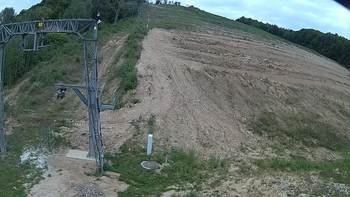 Ведмежа 1 серпня 2018 року, 2018-08-01 10:00