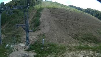 Ведмежа 14 серпня 2018 року, 2018-08-14 16:00