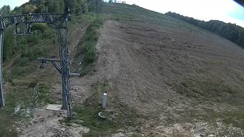 Ведмежа 29 серпня 2018 року, 2018-08-29 16:00