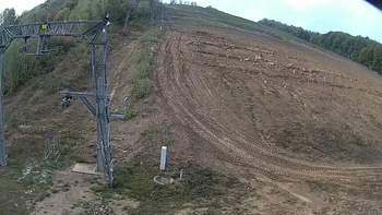 Ведмежа 2 жовтня 2018 року, 2018-10-02 10:00