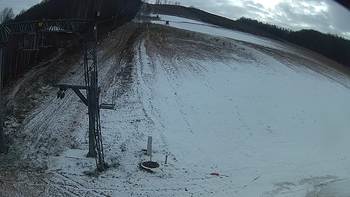 Ведмежа 2 грудня 2018 року, 2018-12-02 16:00