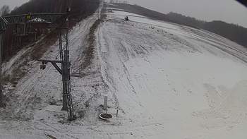 Ведмежа 7 грудня 2018 року, 2018-12-07 10:00