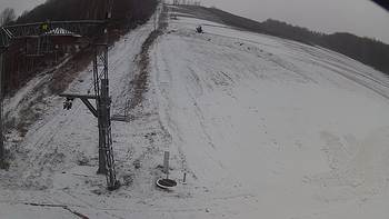 Ведмежа 7 грудня 2018 року, 2018-12-07 13:00