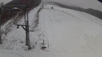 Ведмежа 8 грудня 2018 року, 2018-12-08 10:00