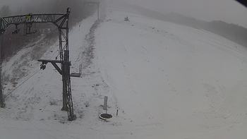 Ведмежа 8 грудня 2018 року, 2018-12-08 13:00
