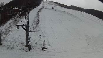 Ведмежа 9 грудня 2018 року, 2018-12-09 13:00