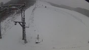 Ведмежа 16 грудня 2018 року, 2018-12-16 10:00