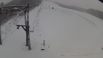 Ведмежа 16 грудня 2018 року, 2018-12-16 13:00