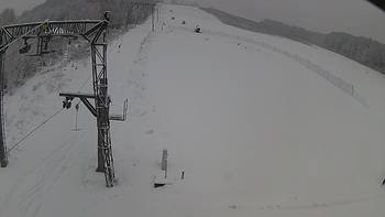 Ведмежа 17 грудня 2018 року, 2018-12-17 10:00