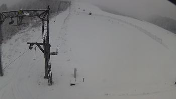 Ведмежа 17 грудня 2018 року, 2018-12-17 13:00