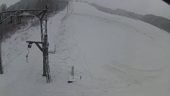 Ведмежа 21 грудня 2018 року, 2018-12-21 16:00