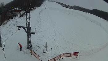 Ведмежа 23 грудня 2018 року, 2018-12-23 13:00