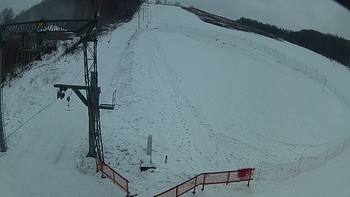 Ведмежа 23 грудня 2018 року, 2018-12-23 16:00