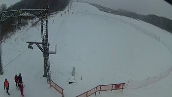 Ведмежа 26 грудня 2018 року, 2018-12-26 13:00