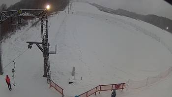 Ведмежа 26 грудня 2018 року, 2018-12-26 16:00