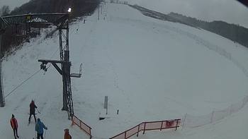 Ведмежа 27 грудня 2018 року, 2018-12-27 16:00