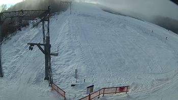 Ведмежа 29 грудня 2018 року, 2018-12-29 13:00