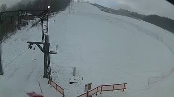 Ведмежа 1 січня 2019 року, 2019-01-01 10:00