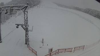 Ведмежа 2 січня 2019 року, 2019-01-02 10:00