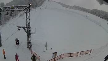 Ведмежа 2 січня 2019 року, 2019-01-02 13:00