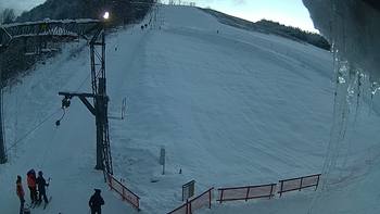 Ведмежа 3 січня 2019 року, 2019-01-03 16:00