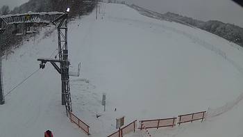 Ведмежа 5 січня 2019 року, 2019-01-05 10:00