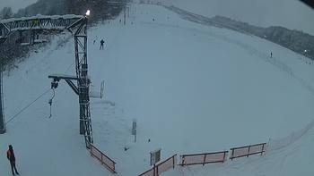 Ведмежа 5 січня 2019 року, 2019-01-05 16:00