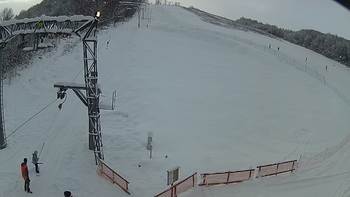 Ведмежа 6 січня 2019 року, 2019-01-06 10:00
