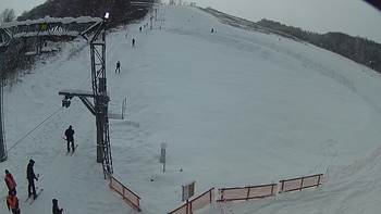 Ведмежа 6 січня 2019 року, 2019-01-06 13:00