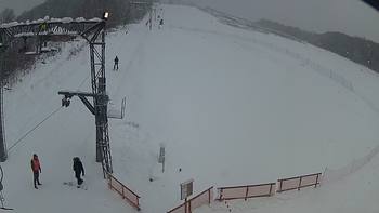 Ведмежа 8 січня 2019 року, 2019-01-08 13:00