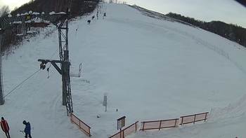 Ведмежа 10 січня 2019 року, 2019-01-10 13:00