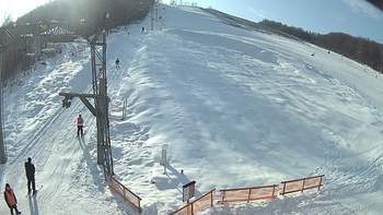 Ведмежа 11 січня 2019 року, 2019-01-11 13:00