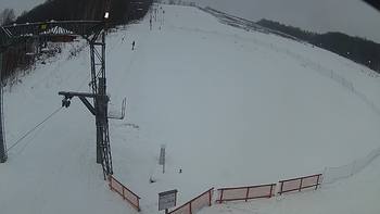 Ведмежа 12 січня 2019 року, 2019-01-12 13:00