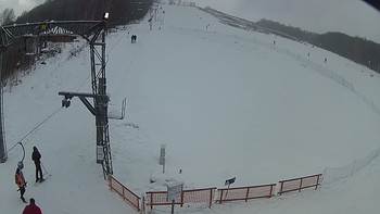 Ведмежа 13 січня 2019 року, 2019-01-13 13:00
