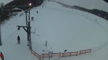 Ведмежа 13 січня 2019 року, 2019-01-13 16:00