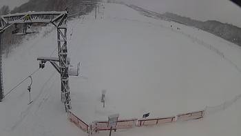 Ведмежа 14 січня 2019 року, 2019-01-14 10:00