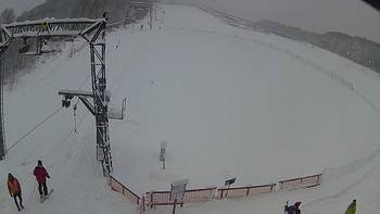 Ведмежа 14 січня 2019 року, 2019-01-14 13:00