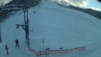 Ведмежа 14 січня 2019 року, 2019-01-14 16:00