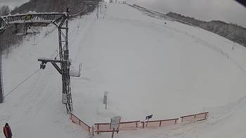 Ведмежа 15 січня 2019 року, 2019-01-15 10:00