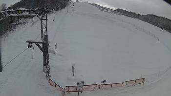 Ведмежа 15 січня 2019 року, 2019-01-15 13:00