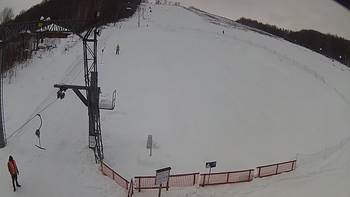 Ведмежа 17 січня 2019 року, 2019-01-17 13:00