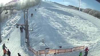 Ведмежа 19 січня 2019 року, 2019-01-19 13:00