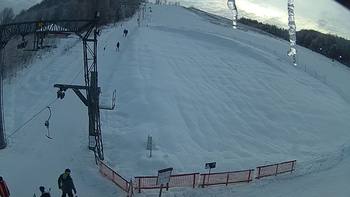 Ведмежа 19 січня 2019 року, 2019-01-19 16:00