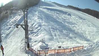 Ведмежа 21 січня 2019 року, 2019-01-21 13:00