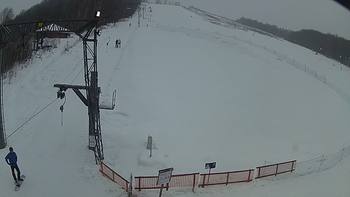 Ведмежа 22 січня 2019 року, 2019-01-22 13:00