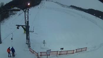 Ведмежа 23 січня 2019 року, 2019-01-23 16:00