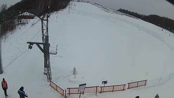 Ведмежа 24 січня 2019 року, 2019-01-24 13:00
