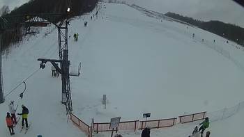 Ведмежа 27 січня 2019 року, 2019-01-27 13:00