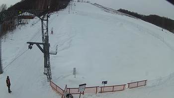 Ведмежа 28 січня 2019 року, 2019-01-28 10:00