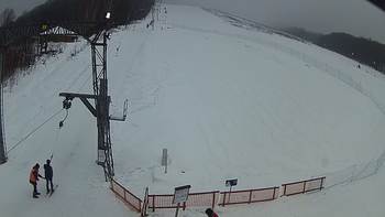 Ведмежа 29 січня 2019 року, 2019-01-29 13:00